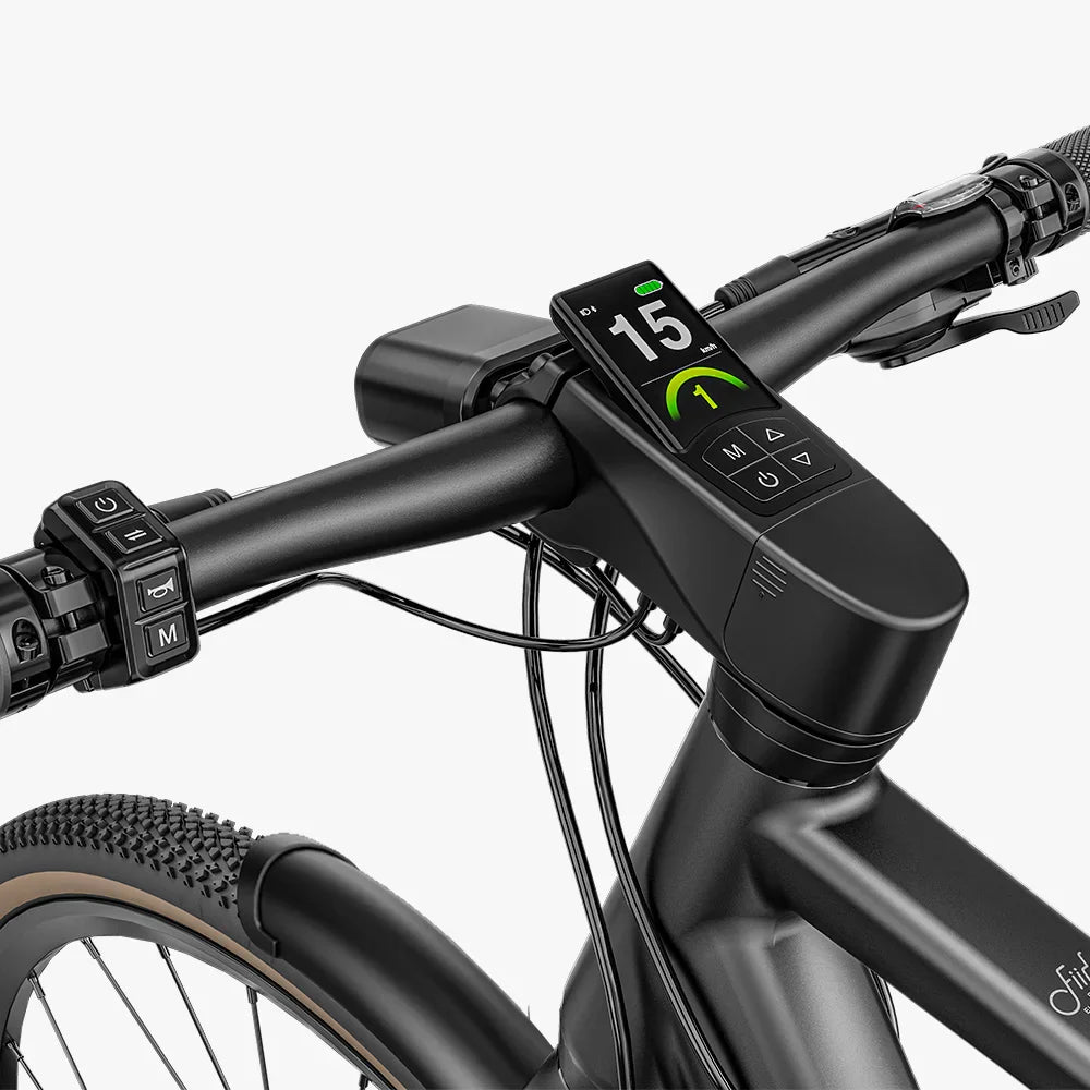 Fiido C21 ebike
