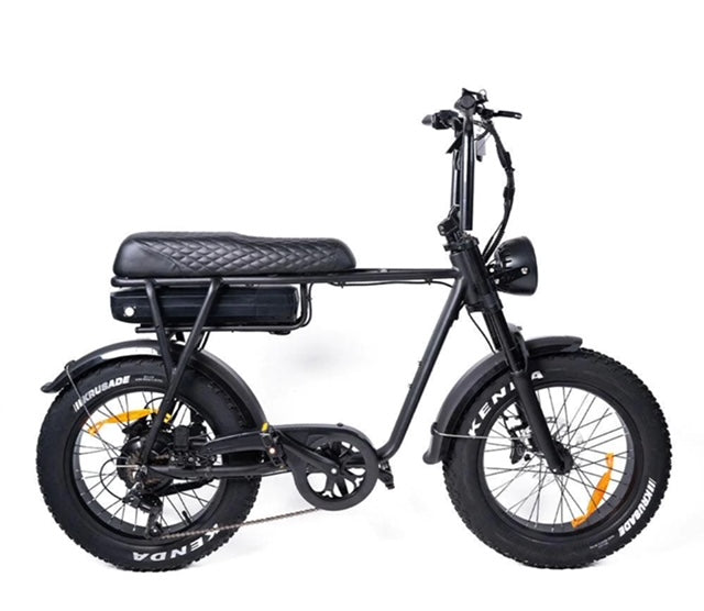 Eb2 fatbike 2025 model