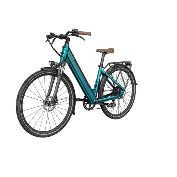 Fiido C11 pro ebike