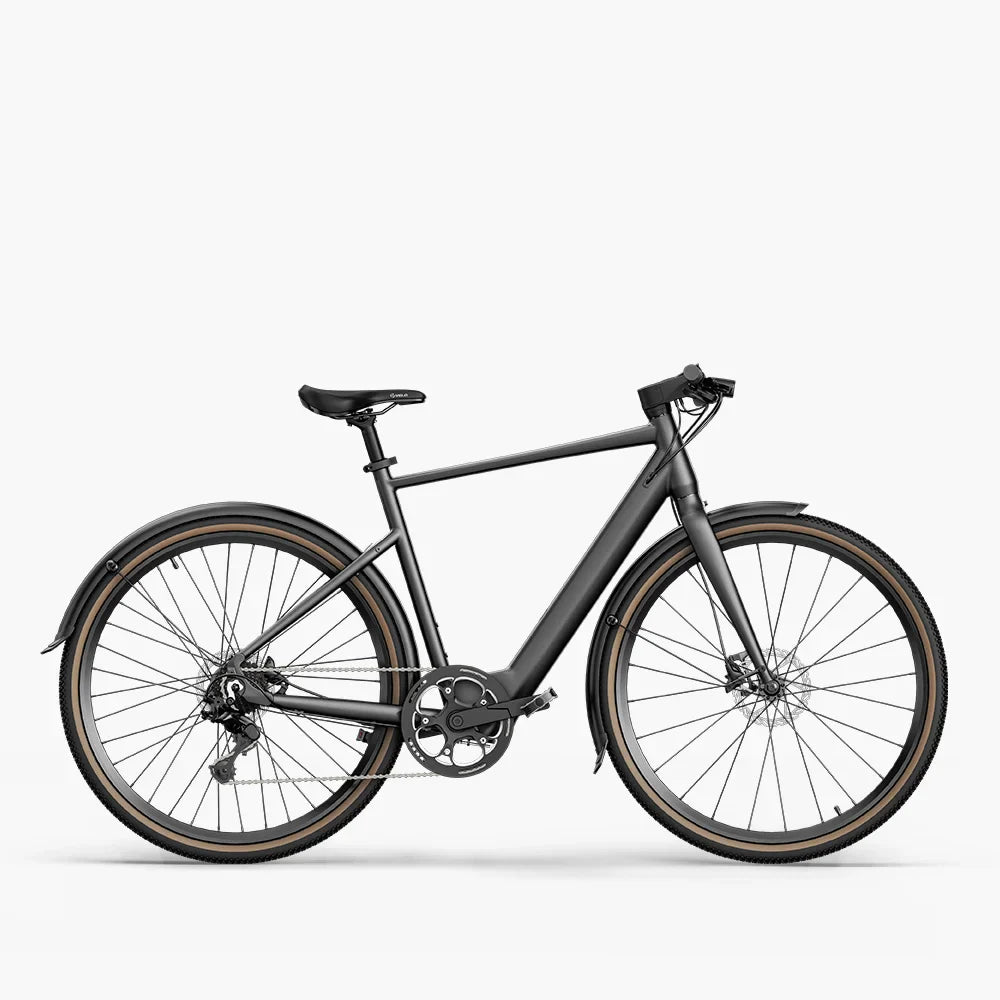 Fiido C21 ebike