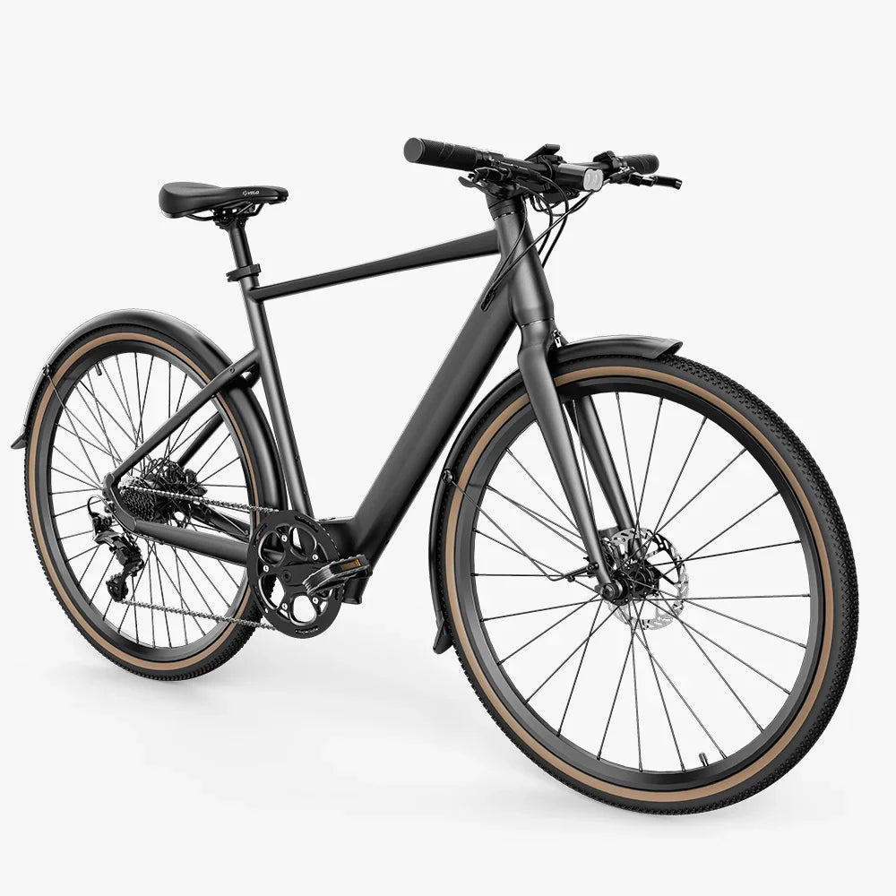 Fiido C21 ebike