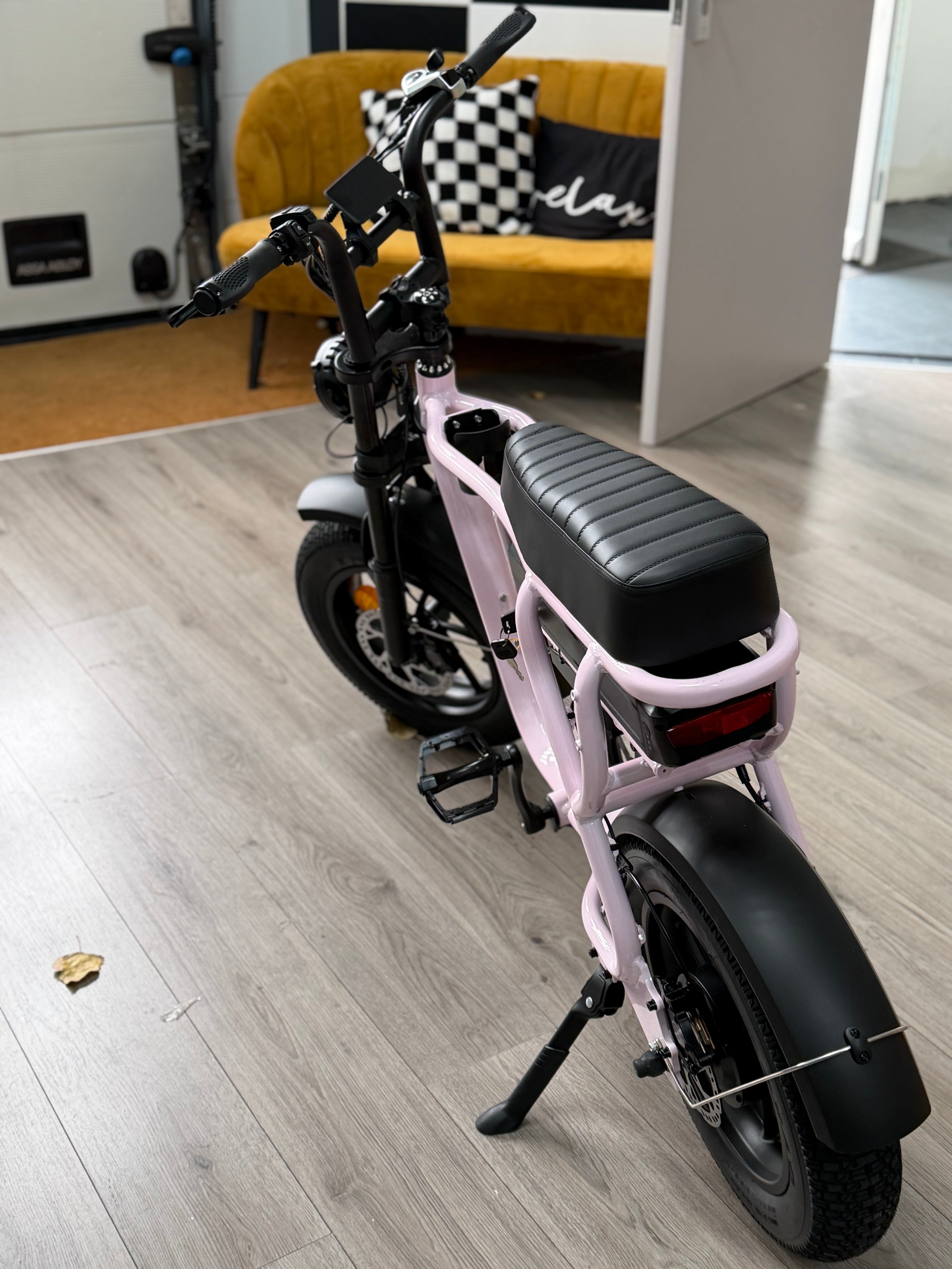 Mini Eb2 7Go Fatbike model 2025