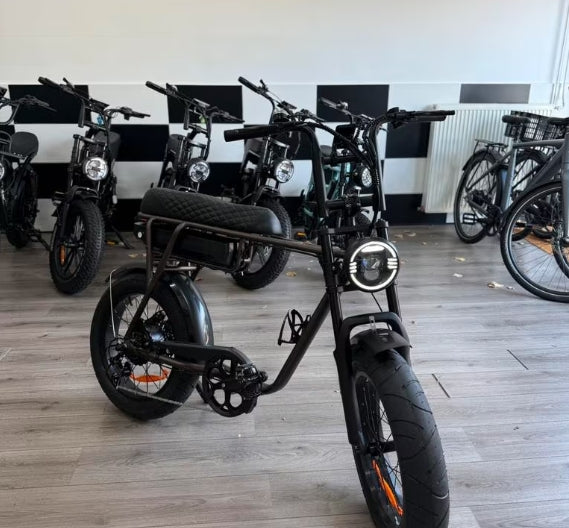 Eb2 fatbike 2025 model