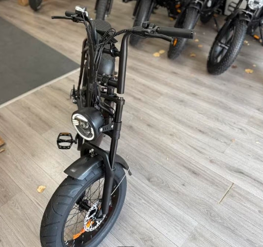 Eb2 fatbike 2025 model